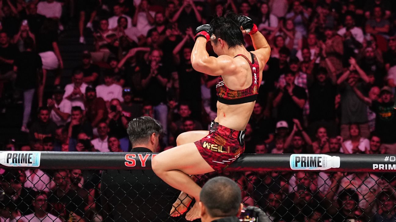 的反应能力 的反应能力