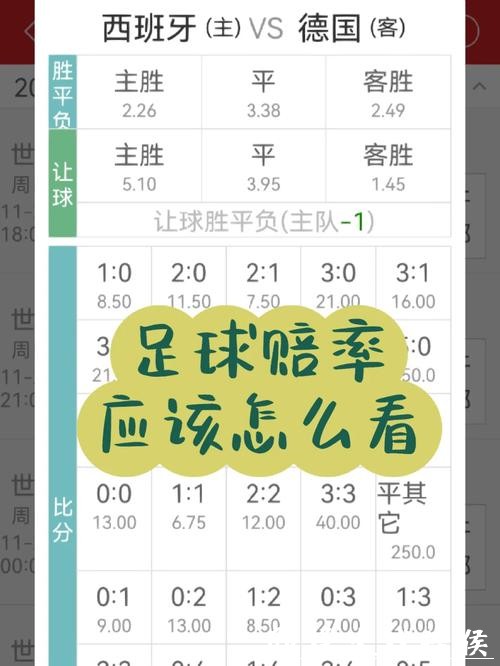 世界杯下注APP最全赔率分析实用技巧 世界杯下注APP最全赔率分析实用技巧